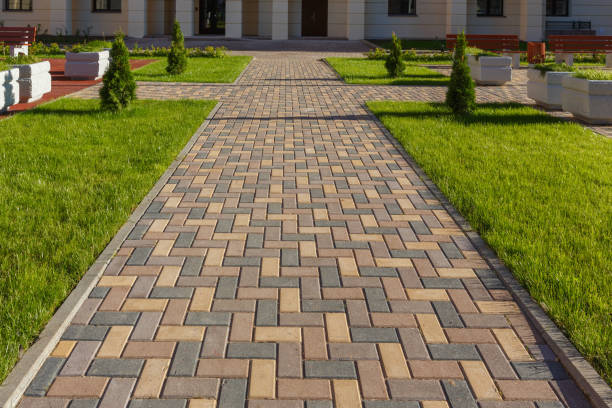 Best Decorative Driveway Pavers  in Moore Haven, FL